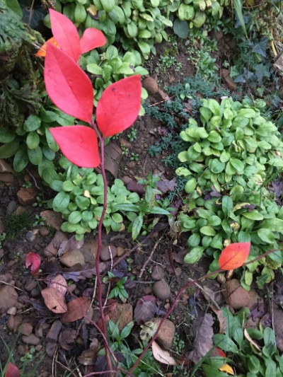 说明: C:\Users\sam\Desktop\thumbnail.jpg